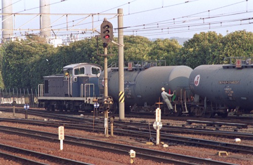 D50-3 D50-3