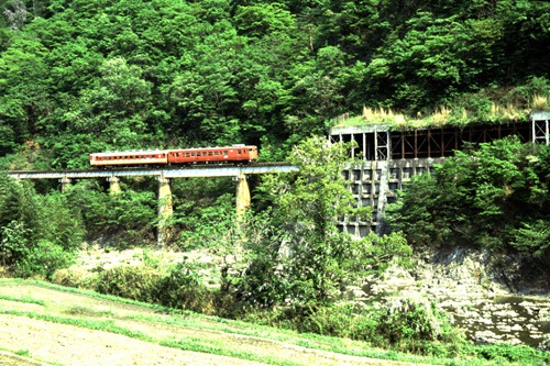 shimo-1