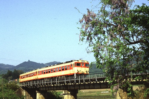shimo-2