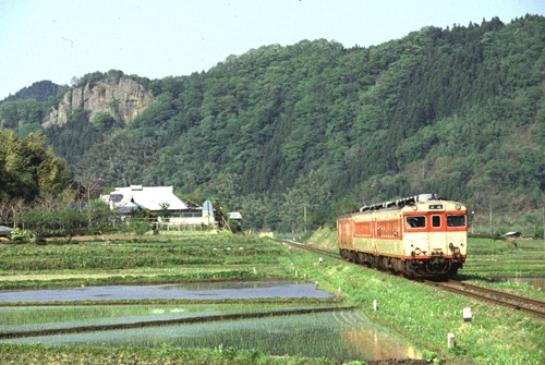 shimo-3 shimo-3