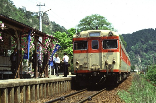yam-1