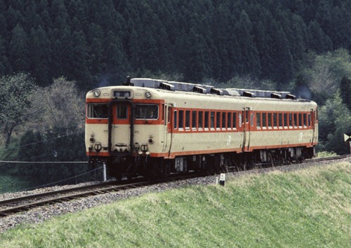 yam-9