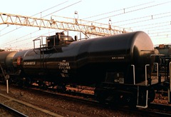 taki-39949