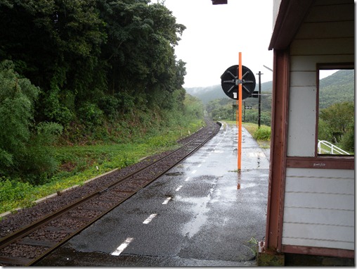 kottoi-4