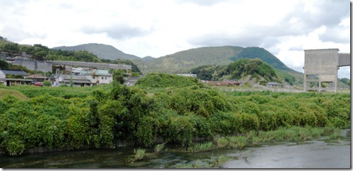 shige-2