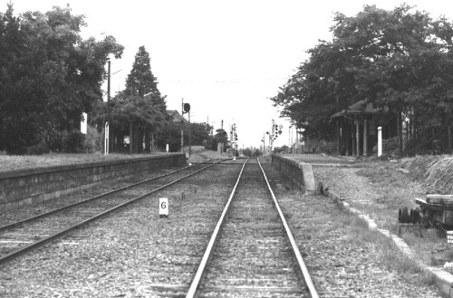 fujisawa-1