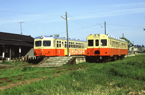 momo-1