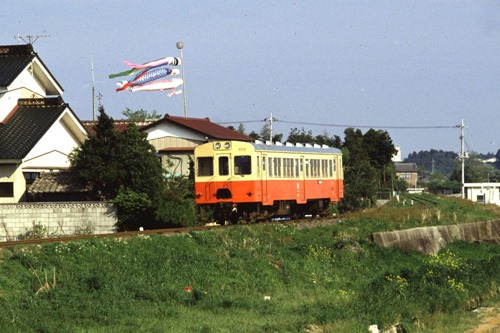 momo-2