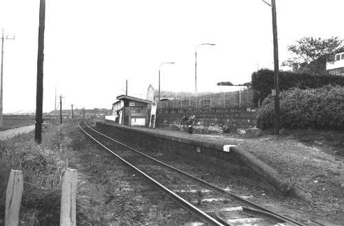 sakata-1