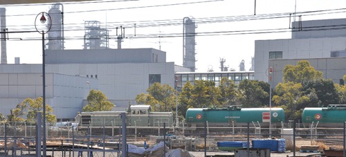 negishi-3