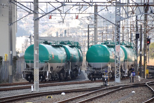 negishi-4