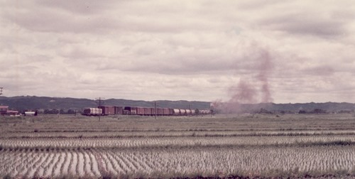 ishi7867-1