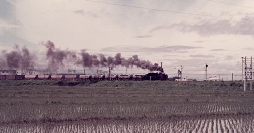 ishi7869-1