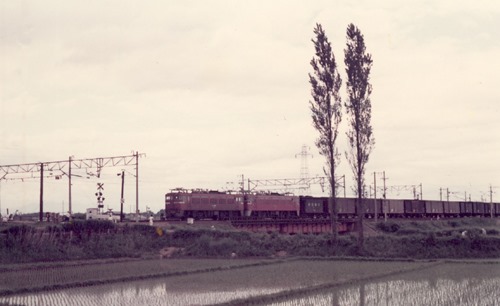kogota-0