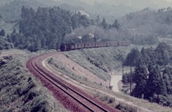 19720802pr007
