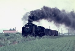 19720803pr004