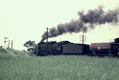 19720803pr008