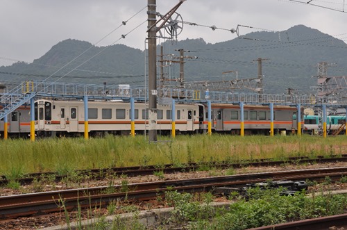 shingu-8 shingu-8