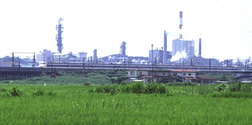 suzu-1
