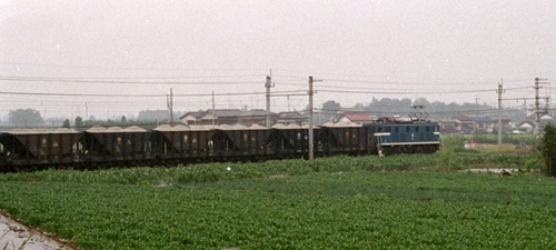 hoki-1