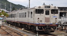 tym-8