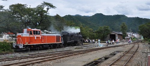 wak-1