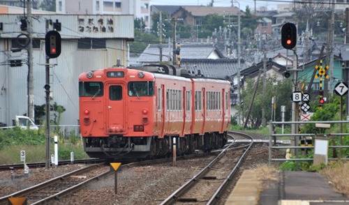 knn-1 knn-1