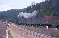 19720331C11