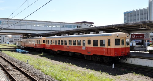 goi-9 goi-9