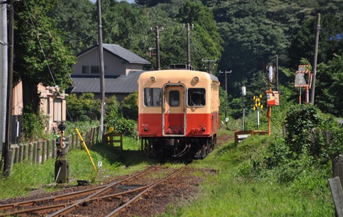 umt-3