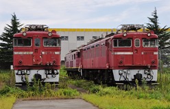 rifu-12