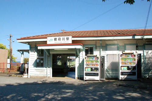 neb-50