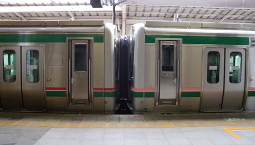 sen-15 sen-15