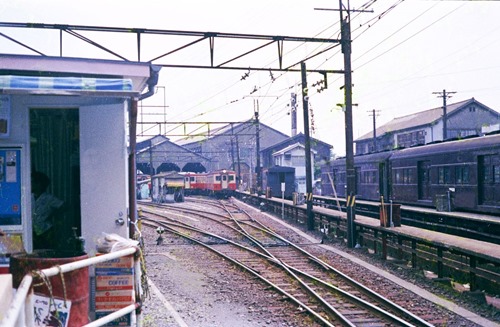 hachi-1