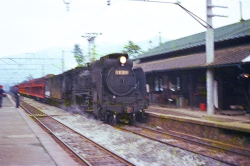 seba-D51 seba-D51