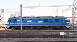 tnj-306