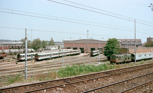Roma-DCs