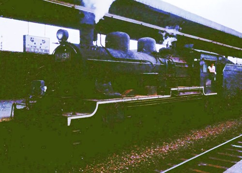 Onara-88638-1