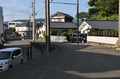 TDino-12