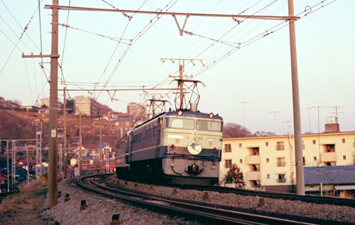 19750310-EF65511
