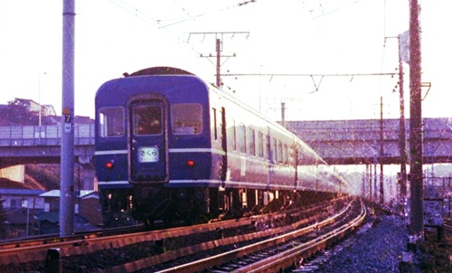 19750310-Sakura